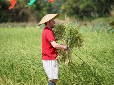 SS Rice News Convention 2025, Pattaya - Thailand